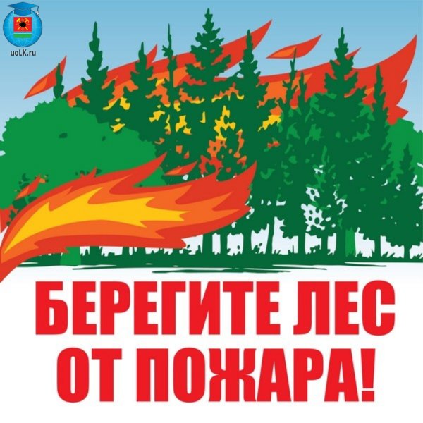 Акция «Берегите лес от пожаров!»